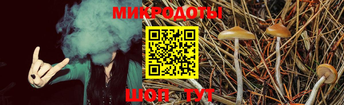 Псилоцибиновые грибы прущие грибы Пыть-Ях